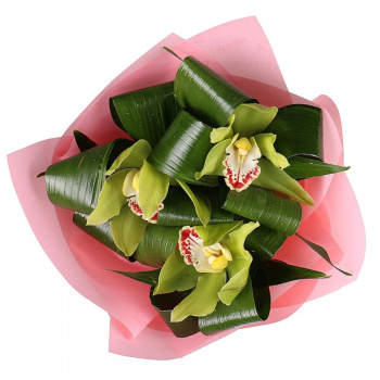 Букет из орхидей "Изумруд"